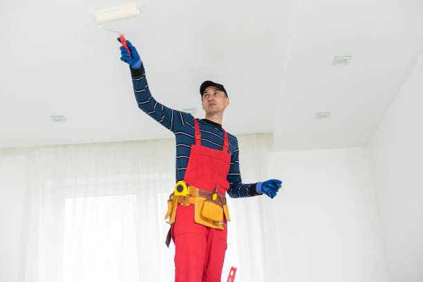 Garden City, MI Mold Removal Company