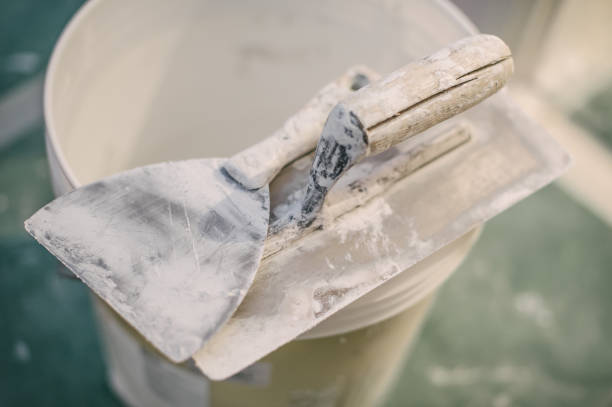 Best Mold-Related Health Consultation  in Garden City, MI